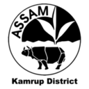 Kamrup District, Assam