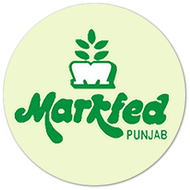 Markfed Punjab Recruitment 2019 Apply Online Job Vacancies 31 August