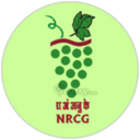National Research Centre for Grapes (ICAR-NRCG)