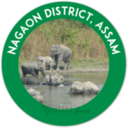 Nagaon District, Assam