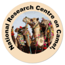 National Research Centre On Camel (ICAR-NRCC)
