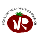 Indian Institute of Vegetable Research (IIVR), Varanasi