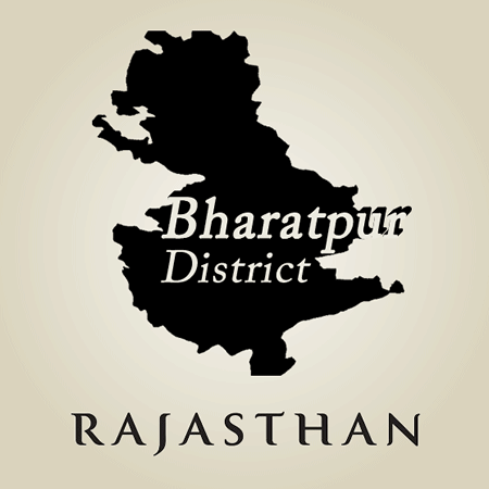 Bharatpur District Recruitment 2019 Apply Online Job Vacancies 24